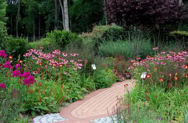 Gepflasterter Weg zwischen einem Blumenbeet