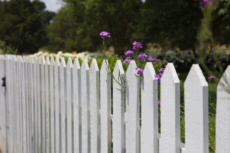 Tipps für den Gartenzaun