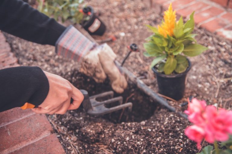 Durch Gartenarbeit die mentale und körperliche Gesundheit verbessern